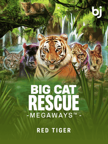 Big Cat Rescue Megaways game thumbnail